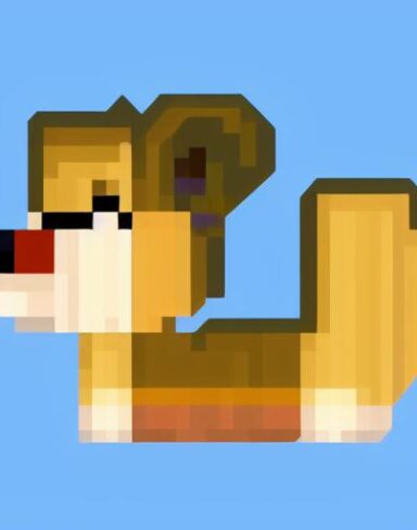 Puppy in front of a blue background