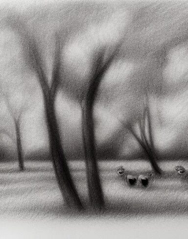 Sheep and trees drawing