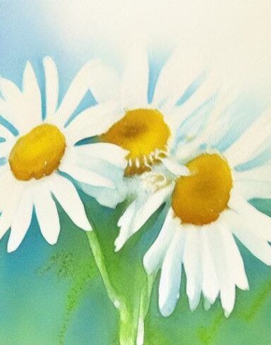 A watercolor painting of the white daisies