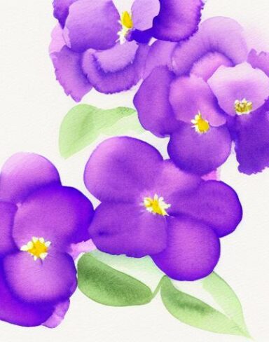A watercolor painting of violet flowers on a white background by Sydney Carline