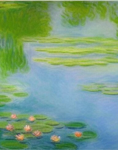 The painting of water lilies in a pond of water