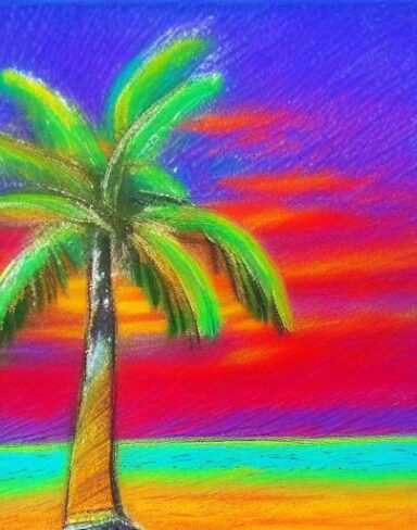Palm tree on a beach
