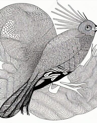 A black and white drawing of a bird