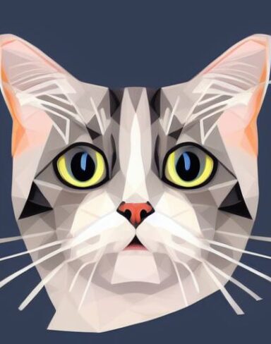 A close up of a cat’s face on a white background