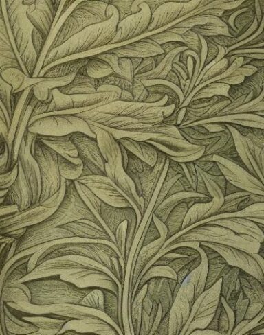 A close up of a pattern of plant