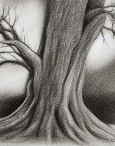 Black and white art drawing of a tree
