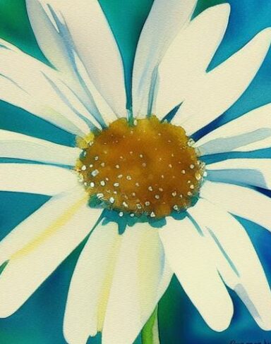 The color painting of white daisies