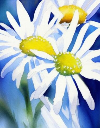 The watercolor painting of white daisies