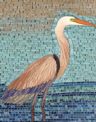 Bird that is standing in the water