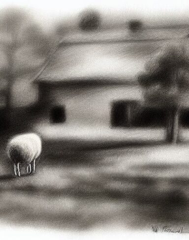 Drawing of sheep and few trees with a house behind