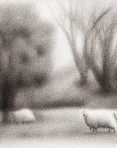 Drawing of sheep and trees