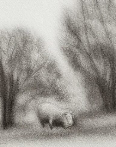 Drawing of sheep and trees in rural