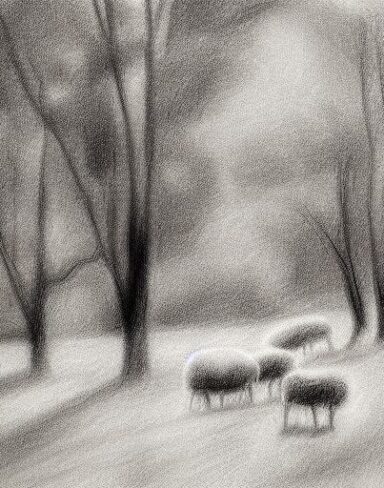 Sheep and trees drawing