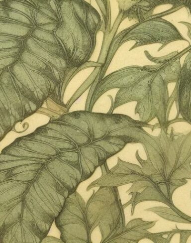 A close up of a pattern of leaves