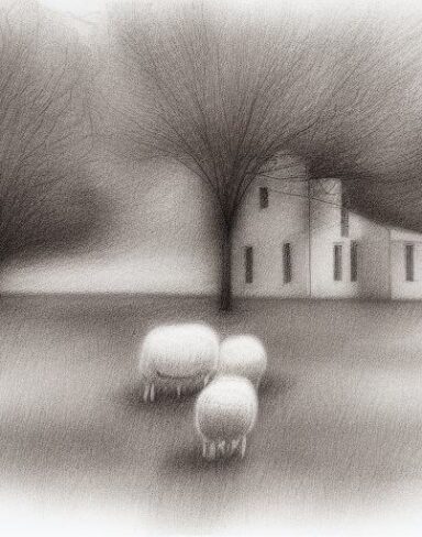 A black and white drawing of sheep and several trees with a house behind