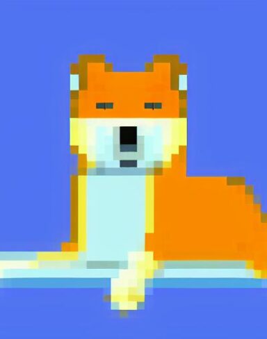 A dog sitting with blue background