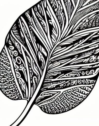 A black and white drawing of a leaf