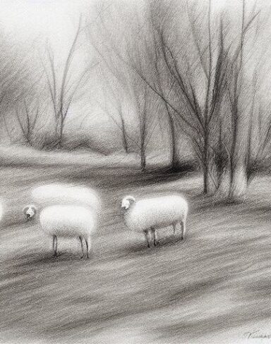 A black and white drawing of sheep near river and trees