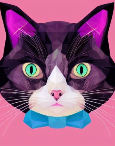 A close up of a cat on a pink background