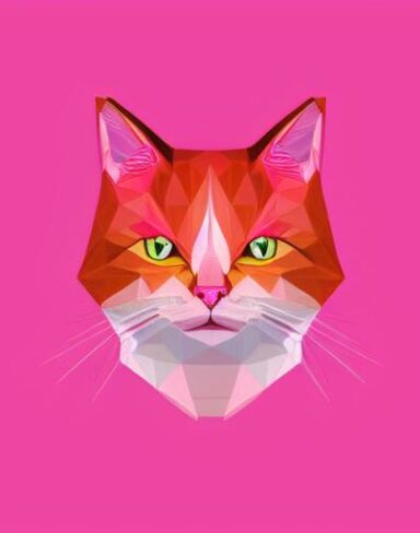 A close up of a cat on a pink background