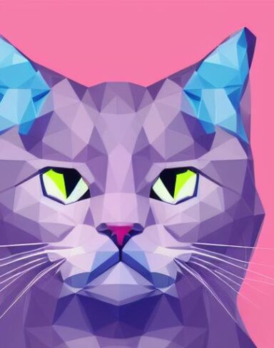 A close up of a cat on a pink background