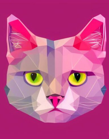 A close up of a cat on a pink background