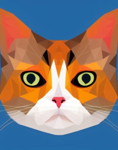 A close up of a cat’s face on a white background