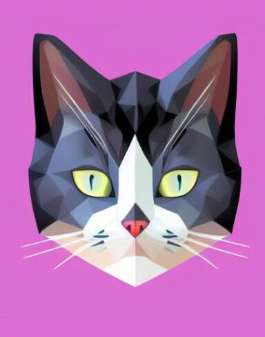 A close up of a cat’s face on a white background