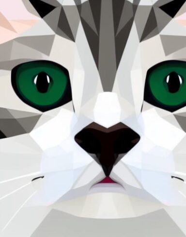 A close up of a cat’s face on a white background
