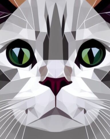 A close up of a cat’s face on a white background