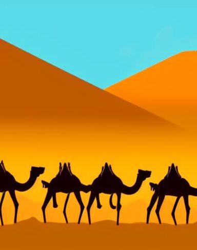 A group of camels in a desert