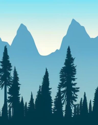 A mountain scene with trees