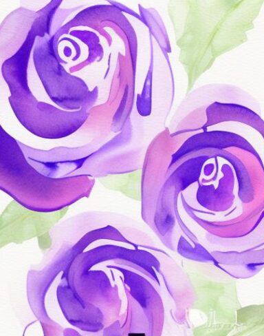 A watercolor painting of white roses on a white background by Sydney Carline