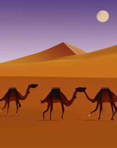 Camels walking across a desert