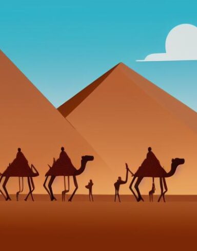 Some camels walking in a desert