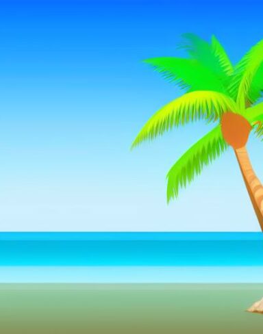 The palm tree sitting on top of a beach