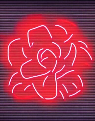 A flower neon sign on a brick wall