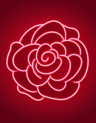A flower neon sign on the wall