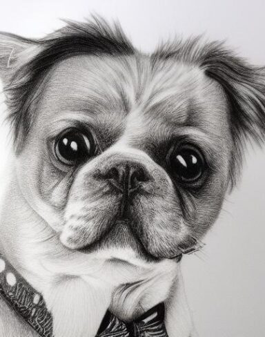 A black and white drawing of a dog wearing cute clothes