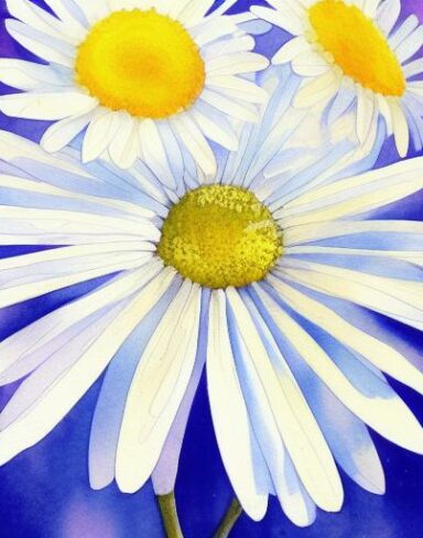 A color painting of white daisies