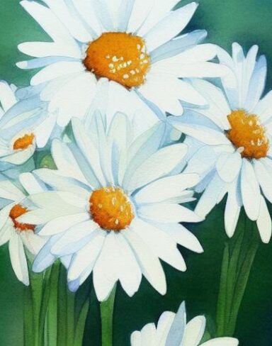 A painting of white daisies floral