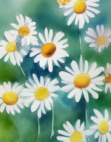 A watercolor painting of white daisies