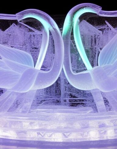 An tranquil ice sculpture of two glowing ice-made swans on a wave