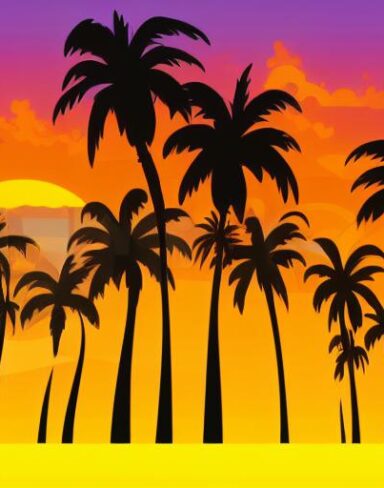 Yellowish sunset with some palm trees and birds