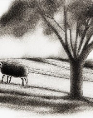 A black and white drawing of sheep and trees