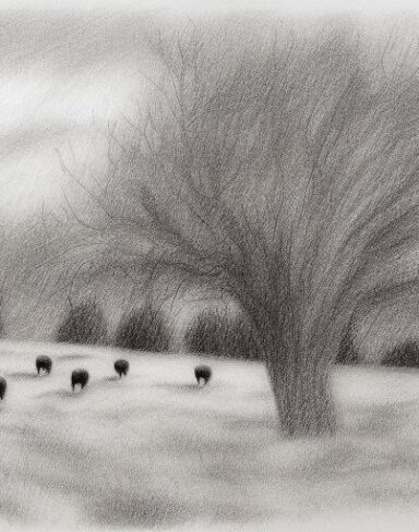 Black and white drawing of sheep and trees in rural area