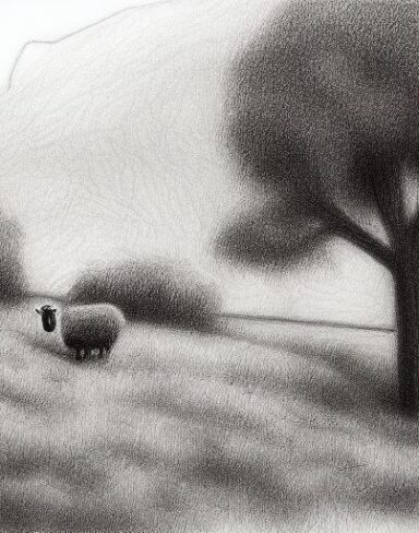 Drawing of sheeps and trees in rural area