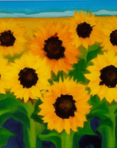 Sunflowers in a field