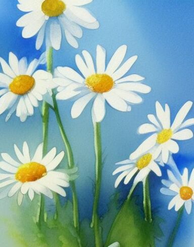 Watercolor painting of white daisies