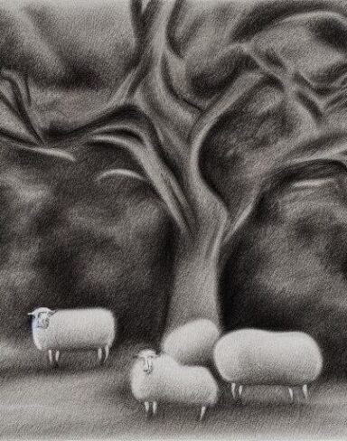 A black and white drawing of sheep and trees